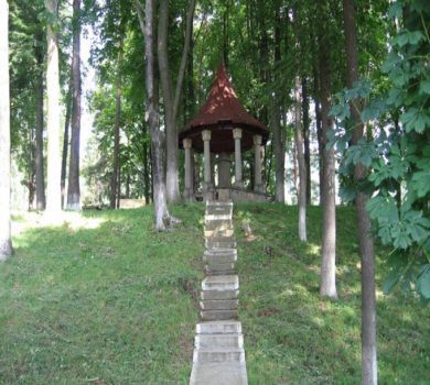 Visite découverte du jardin public de Vama